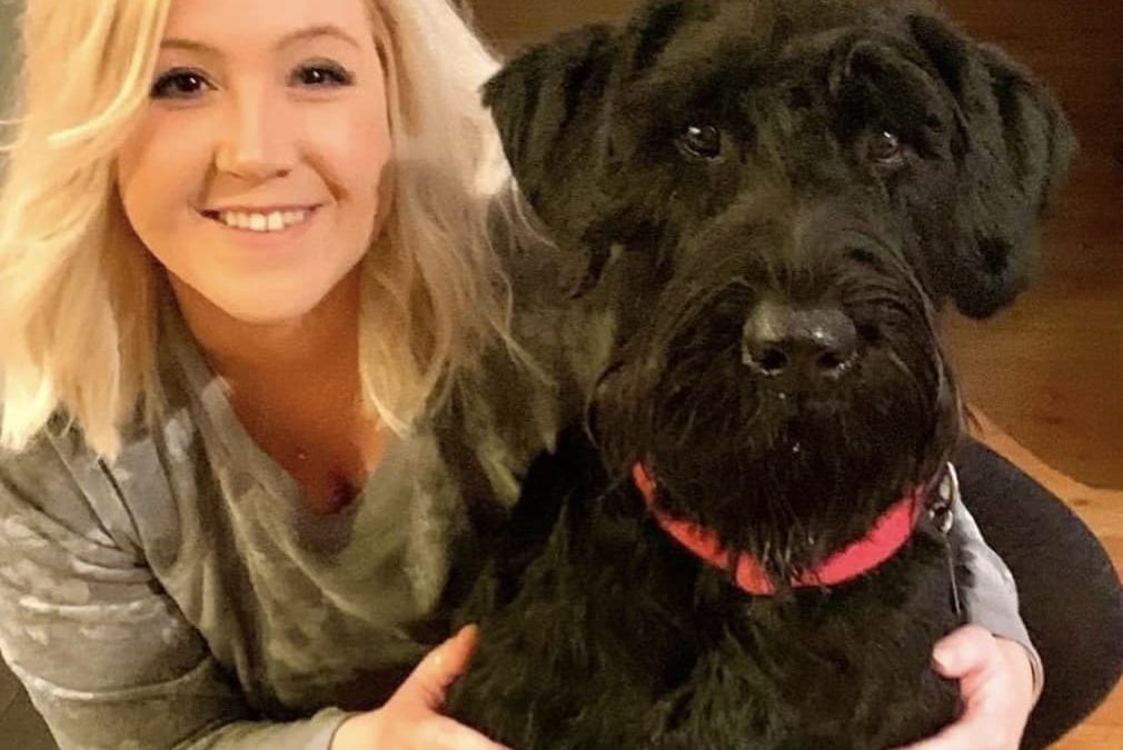 Bozeman Dog Training Prices