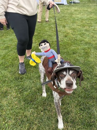 Bozeman-dog-training-images-10-3-2025-7