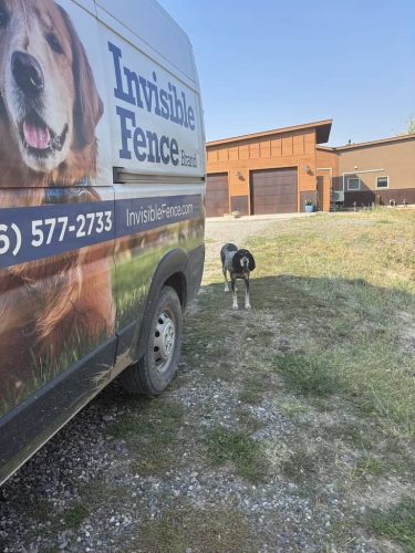 Dog-training-bozeman-mt-9-1-2025-1